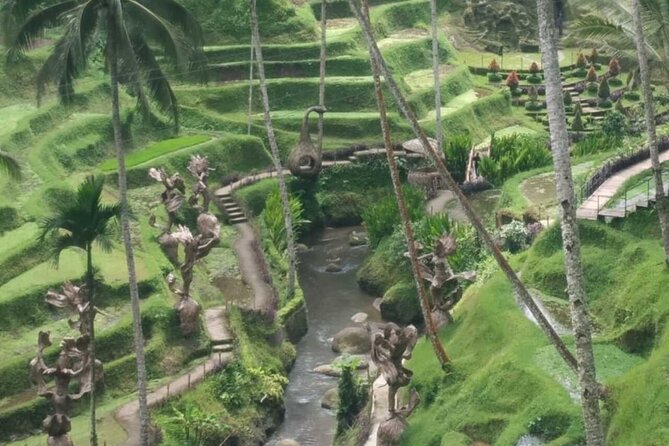 Bali Benoa Shore Excursion for cruise's passenger - All Inclusive - The guide can make or break the day