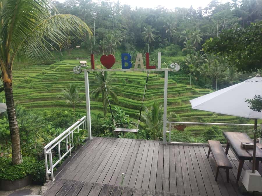 Bali: Shore Excursion for Cruises's passenger -All Inclusive - Drivers make or break a cruise excursion