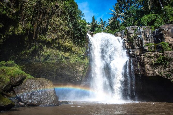 Bali Shore Excursions : Best of Bali Tour - Key points to know before you book
