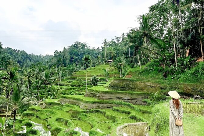 Bali Shore Excursions : Best of Bali Tour - What the private format changes