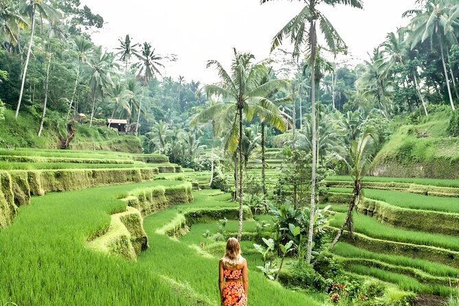 Bali Shore Excursions : Best of Bali Tour - What is included and what you should budget for