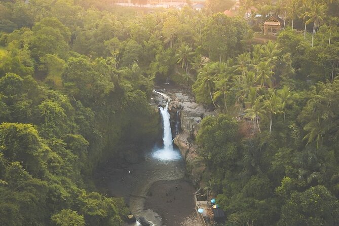 Bali Shore Excursions : Best of Bali Tour - Reaching Ubud in a private air-conditioned car