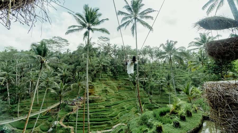 BALI SHORE EXCURSIONS: EXPLORING THE EXOTIC OF BALI - Comfort, accessibility, and what to pack