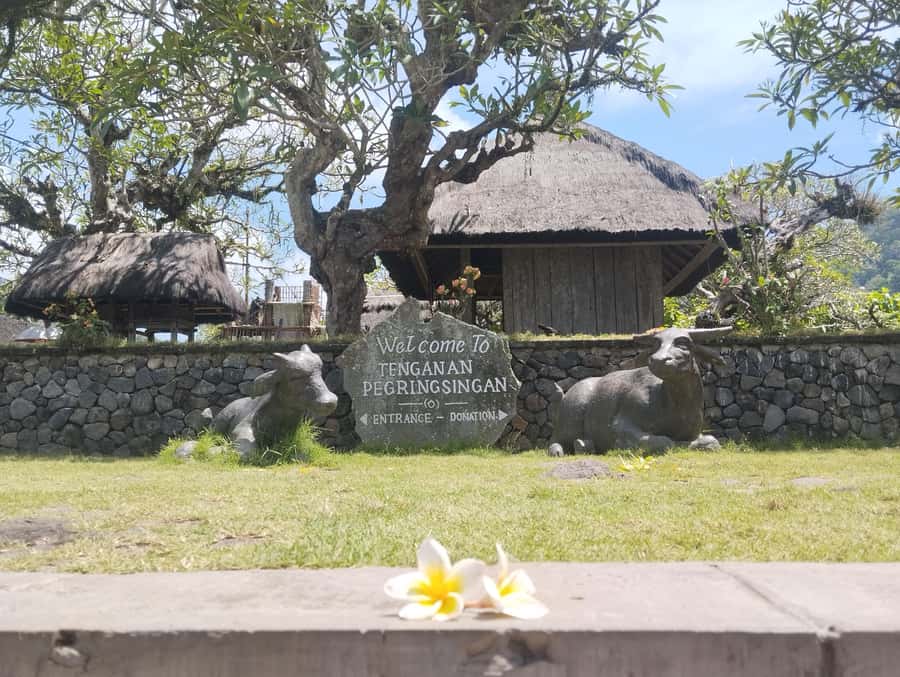 BALI SHORE EXCURSIONS: EXPLORING THE EXOTIC OF BALI - Who will get the most from this shore excursion
