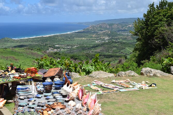 Barbados Shore Excursion: Bajan Highlights - A quick way to see Barbados from Bridgetown