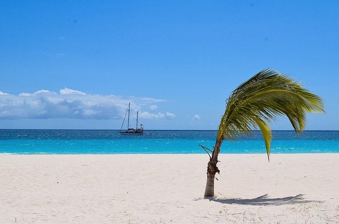 Barbados Shore Excursion: Bajan Highlights - Bathsheba Beach and the mushroom rocks