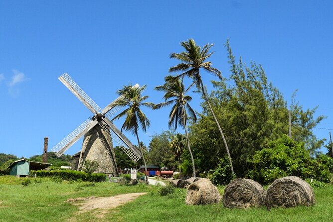 Barbados Shore Excursion: Bajan Highlights - Starting at the Bridgetown cruise terminal