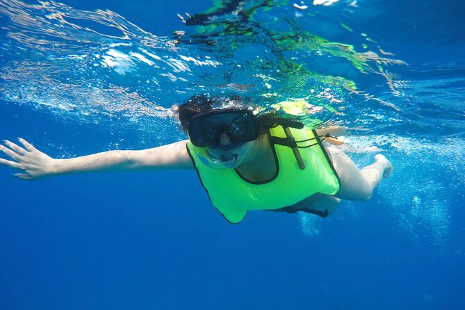 Barbados Shore Excursion: Carlisle Bay Turtle & Shipwreck - Timing is the part that needs the most care