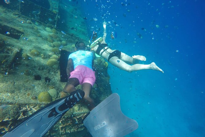 Barbados Shore Excursion: Carlisle Bay Turtle & Shipwreck - How the $48 price measures up
