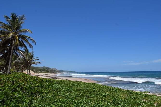 Barbados Shore Excursion Island Tour and Snorkel Cruise - Key points to know before you book