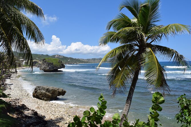 Barbados Shore Excursion Island Tour and Snorkel Cruise - Aboard the Tranquility for the water portion