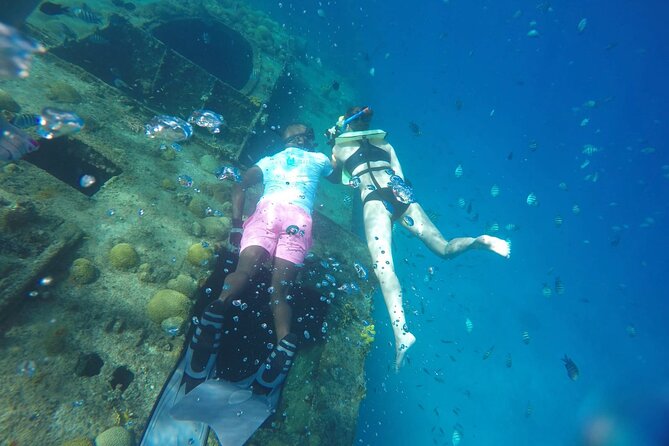Barbados Shore Excursion Island Tour and Snorkel Cruise - Swimming with turtles in Carlisle Bay