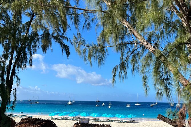 Barbados Shore Excursion Snorkel cruise and Beach Day - What to bring and how to improve the day