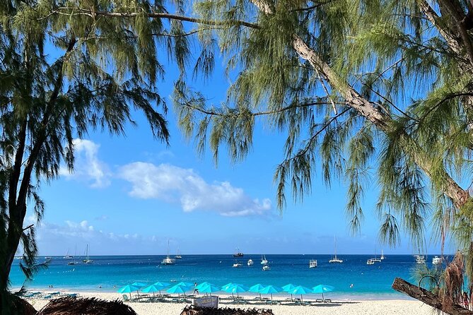 Barbados Shore Excursion: Wildlife Encounter and Beach Day - What the guides add to the day