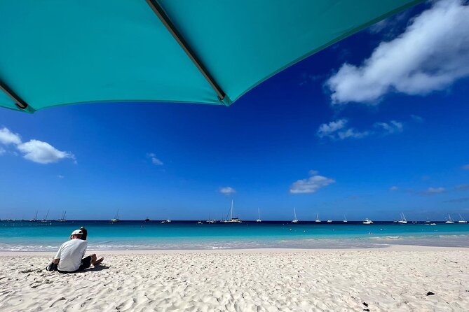 Barbados Shore Excursion: Wildlife Encounter and Beach Day - Comfort, road conditions, and practical limits