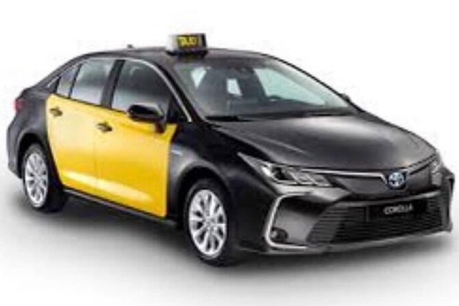 Barcelona City to Cruise Port Private Transfer - The driver experience and English-language help