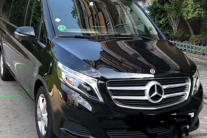 Barcelona Cruise port to barcelona city private transfer - A driver who helps beyond the steering wheel