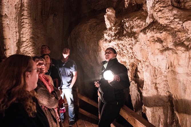 Bay of Islands Glow Worm Caves & Scenic Shore Excursion - Haruru Falls, a quick stop with real visual appeal