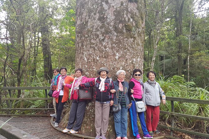 Bay of Islands Shore Excursion: Puketi Rainforest Guided Walk - Price and overall value