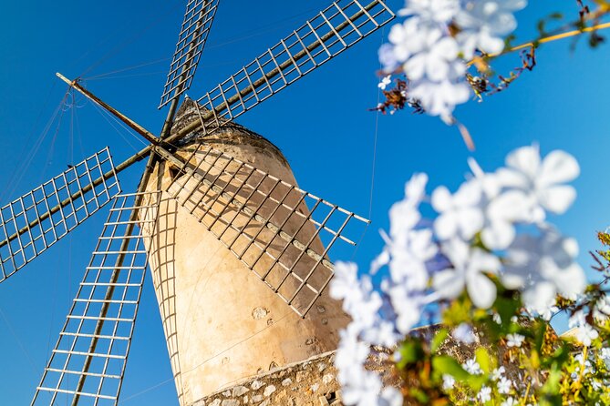 Best Palma de Mallorca and ValLdemossa Tour from Cruise Port - A short stop at Santa Catalina Thomás birthplace