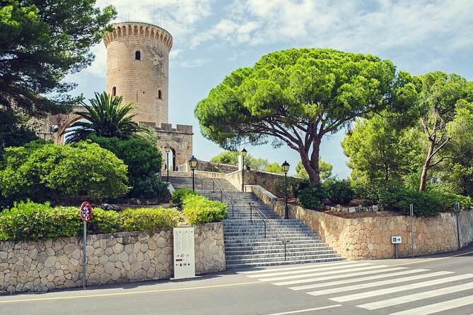 Best Palma de Mallorca and ValLdemossa Tour from Cruise Port - Palma Marina gives you an easy city introduction
