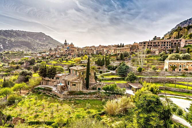 Best Palma de Mallorca and ValLdemossa Tour from Cruise Port - La Seu Cathedral is the visual centerpiece