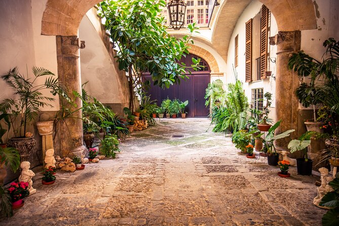 Best Palma de Mallorca and ValLdemossa Tour from Cruise Port - The guides add the most value