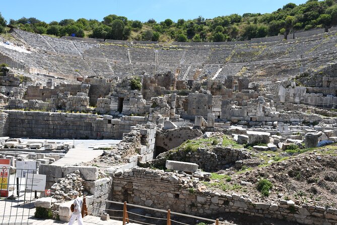 Best Private Ephesus Tour for Cruise Travelers: Culture & History - The Terrace Houses: Ephesus at Its Most Personal