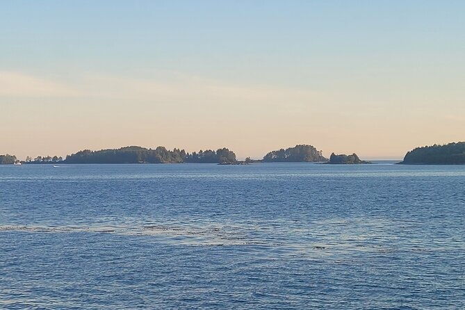 Best Whale Watching and Wildlife Shore Excursion in Sitka - Is $205 a fair price?