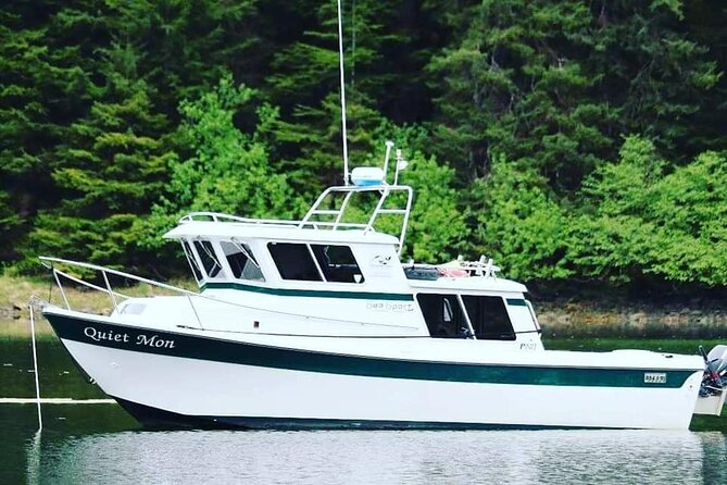 Best Whale Watching and Wildlife Shore Excursion in Sitka - What you might see, from whales to sea otters