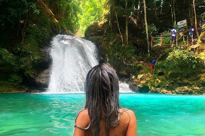 Blue Hole & Secret Waterfalls Tour from Falmouth Cruise Ships - Swimming, swinging, and judging your comfort level