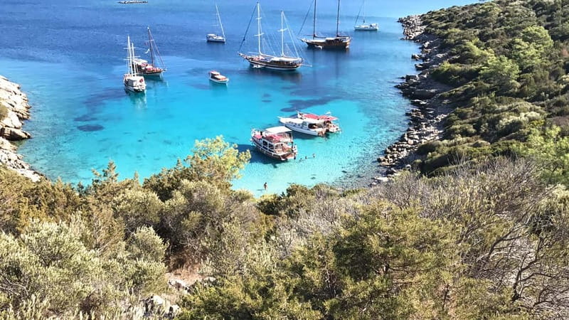 Bodrum: Boat Tour for Mein Schiff and Aida Cruise Passengers - From Halikarnas Harbor to the open Aegean