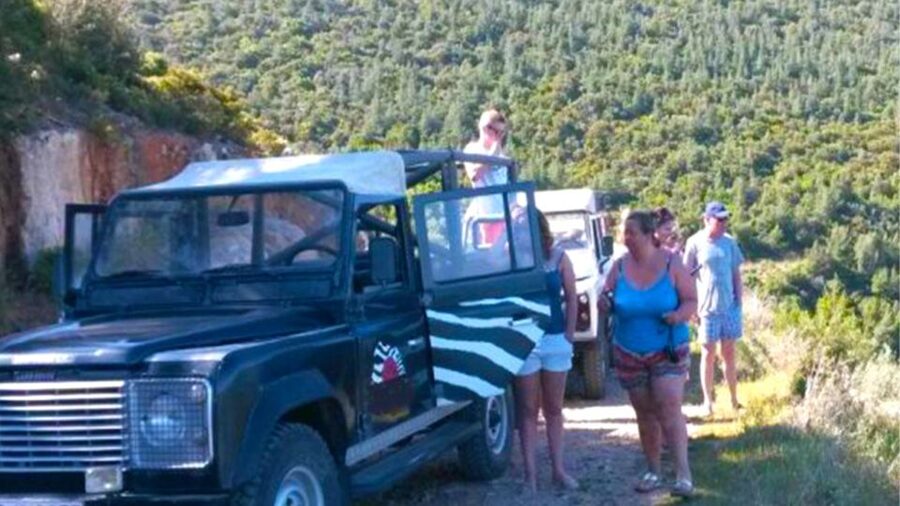 Bodrum Jeep Safari from Bodrum Cruise Port - Mazı Bay: lunch, sea time, and a reset