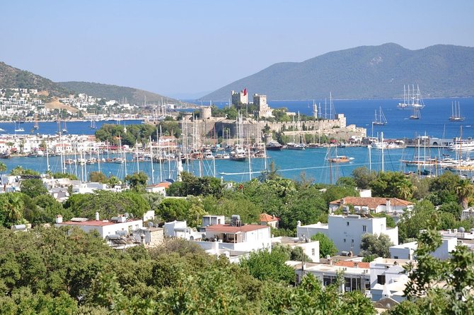 Bodrum Shore Excursion: Private Bodrum Express Sightseeing Tour - Key points to know before you book