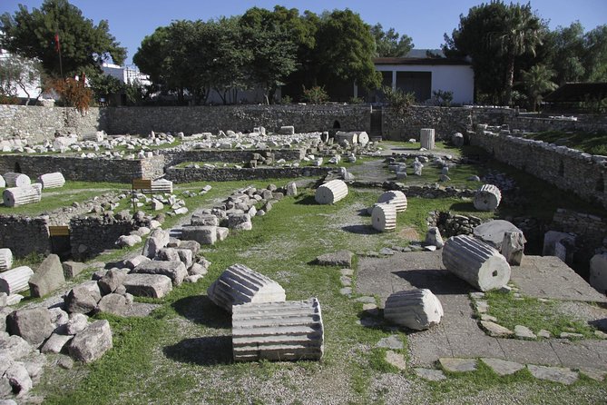 Bodrum Shore Excursion: Private Bodrum Express Sightseeing Tour - From Bodrum port to the ancient city of Halicarnassus