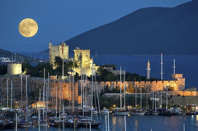 Bodrum Shore Excursion: Private Bodrum Express Sightseeing Tour - What the $298.13 price really buys you