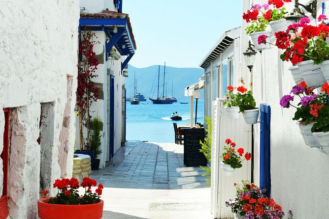 Bodrum Shore Excursion: Private Bodrum Express Sightseeing Tour - Port safety, pickup, and the return promise