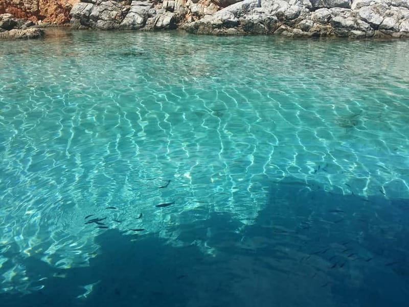Bodrum: Turkish Maledives Boat Trip with Cruise Port Pickup - Swimming near Bodrum’s Aegean coves