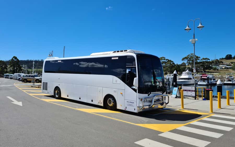 Bonorong & Richmond: Shore Excursion (Private Tour) - Why pair Bonorong with Richmond?
