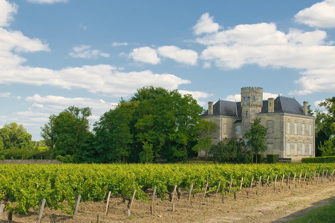 Bordeaux Cruise Port Shore Excursion: Full-Day Private Medoc Wine Tour - Why Médoc makes sense on a one-day port call