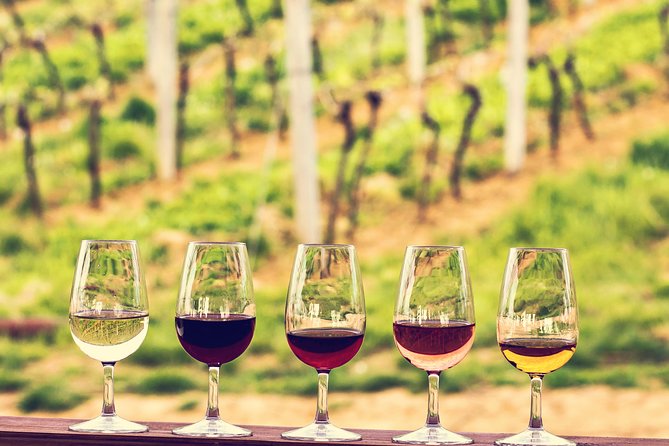 Bordeaux Cruise Port Shore Excursion: Full-Day Private Medoc Wine Tour - Leaving Bordeaux port at 9:30 a.m.