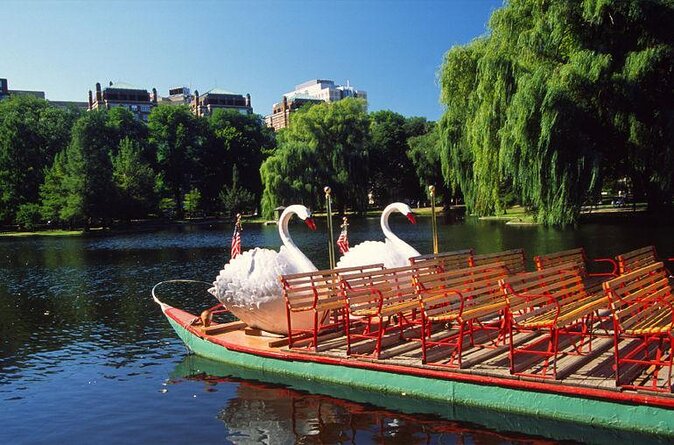Boston Shore Excursion: Boston Hop-On Hop-Off Trolley Tour - Key points to know before you book