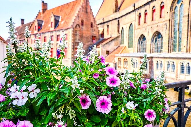 Bruges Tour from Cruise Port and Venice of the North Canal Cruise - Key points at a glance