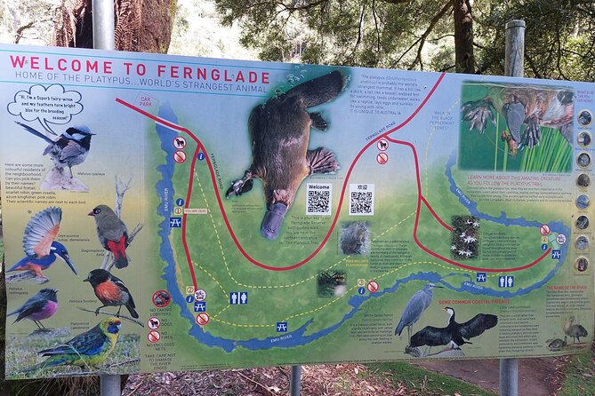 Burnie Attractions Bus: Burnie Shore Excursion - Emu Valley Rhododendron Gardens: the main stop