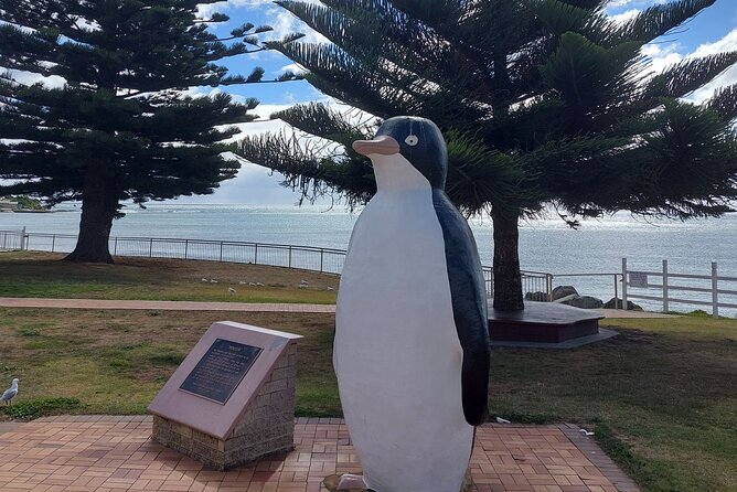 Burnie Attractions Bus: Burnie Shore Excursion - Fernglade Reserve and the limits of a ten-minute visit