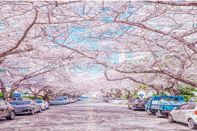 Busan Cruise Port – Premium Small Group Tour (Max 6 Guests) - Gamcheon Culture Village explains a difficult past