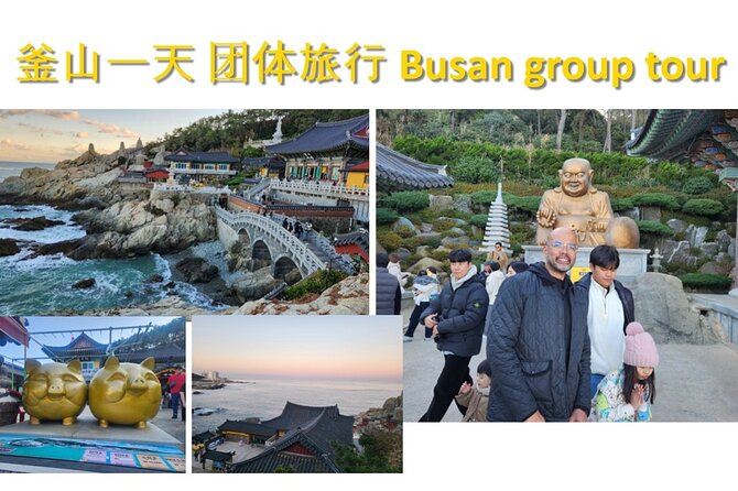 Busan Group Tour for Cruise ship passengers (Max 12 Guests) - A practical Busan tour for a short port call