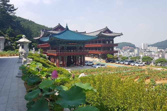 Busan Highlights Shore Tour – Cruise Return Assured - Hwangnyeongsan Mountain for the big view