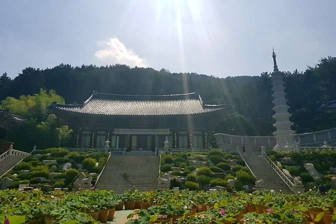 Busan Highlights Shore Tour – Cruise Return Assured - Samgwangsa Temple and its lanterns