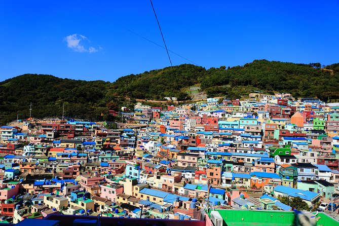 Busan Highlights Shore Tour – Cruise Return Assured - BIFF Square, Gukje Market, and Jagalchi Market
